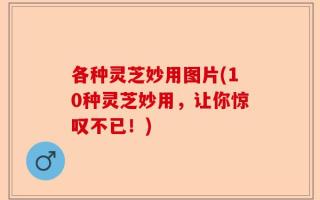 各种灵芝妙用图片(10种灵芝妙用，让你惊叹不已！)