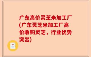 广东高价灵芝米加工厂(广东灵芝米加工厂高价收购灵芝，行业优势突出)