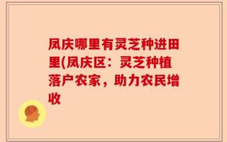 凤庆哪里有灵芝种进田里(凤庆区：灵芝种植落户农家，助力农民增收