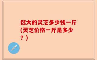 挺大的灵芝多少钱一斤(灵芝价格一斤是多少？)