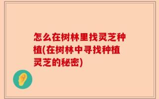 怎么在树林里找灵芝种植(在树林中寻找种植灵芝的秘密)