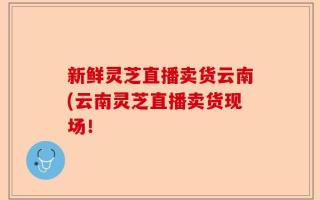 新鲜灵芝直播卖货云南(云南灵芝直播卖货现场！