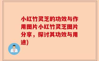 小红竹灵芝的功效与作用图片小红竹灵芝图片分享，探讨其功效与用途)