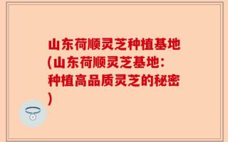 山东荷顺灵芝种植基地(山东荷顺灵芝基地：种植高品质灵芝的秘密)
