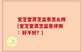 宝芝堂灵芝盆景怎么样(宝芝堂灵芝盆景评测：好不好？)