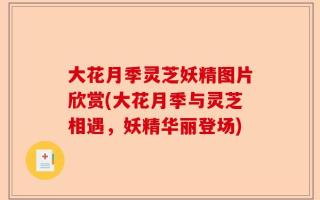 大花月季灵芝妖精图片欣赏(大花月季与灵芝相遇，妖精华丽登场)