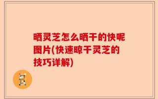 晒灵芝怎么晒干的快呢图片(快速晾干灵芝的技巧详解)