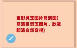 巨形灵芝图片高清图(高清巨灵芝图片，欣赏超清自然奇观)