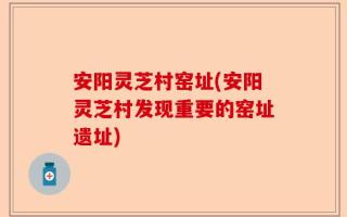 安阳灵芝村窑址(安阳灵芝村发现重要的窑址遗址)