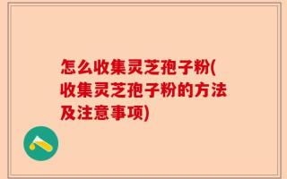 怎么收集灵芝孢子粉(收集灵芝孢子粉的方法及注意事项)
