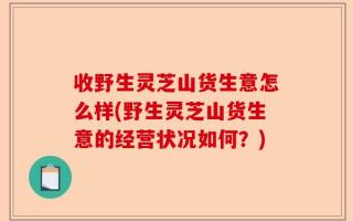 收野生灵芝山货生意怎么样(野生灵芝山货生意的经营状况如何？)