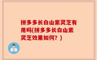 拼多多长白山紫灵芝有用吗(拼多多长白山紫灵芝效果如何？)