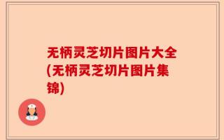 无柄灵芝切片图片大全(无柄灵芝切片图片集锦)