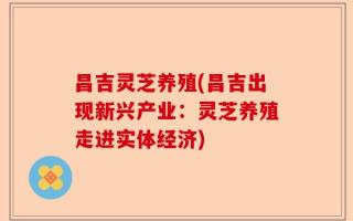 昌吉灵芝养殖(昌吉出现新兴产业：灵芝养殖走进实体经济)