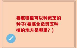 娄底哪里可以种灵芝的种子(娄底合适灵芝种植的地方是哪里？)