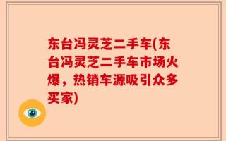 东台冯灵芝二手车(东台冯灵芝二手车市场火爆，热销车源吸引众多买家)