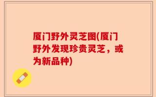 厦门野外灵芝图(厦门野外发现珍贵灵芝，或为新品种)