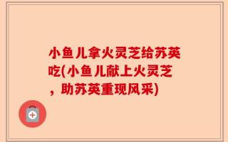 小鱼儿拿火灵芝给苏英吃(小鱼儿献上火灵芝，助苏英重现风采)