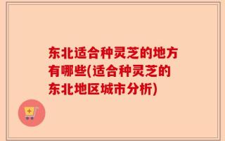 东北适合种灵芝的地方有哪些(适合种灵芝的东北地区城市分析)