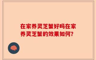 在家养灵芝蟹好吗在家养灵芝蟹的效果如何？