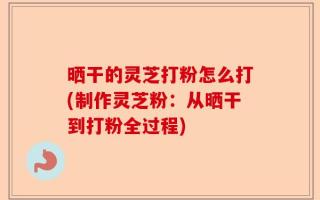 晒干的灵芝打粉怎么打(制作灵芝粉：从晒干到打粉全过程)