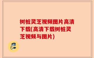 树桩灵芝视频图片高清下载(高清下载树桩灵芝视频与图片)