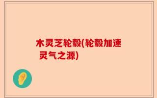 木灵芝轮毂(轮毂加速 灵气之源)