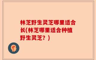 林芝野生灵芝哪里适合长(林芝哪里适合种植野生灵芝？)