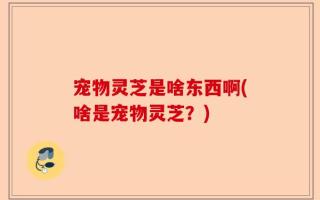 宠物灵芝是啥东西啊(啥是宠物灵芝？)