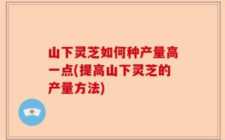山下灵芝如何种产量高一点(提高山下灵芝的产量方法)