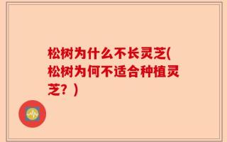 松树为什么不长灵芝(松树为何不适合种植灵芝？)