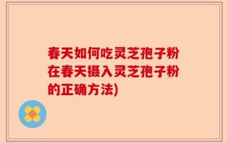 春天如何吃灵芝孢子粉在春天摄入灵芝孢子粉的正确方法)