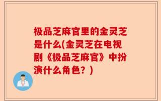 极品芝麻官里的金灵芝是什么(金灵芝在电视剧《极品芝麻官》中扮演什么角色？)