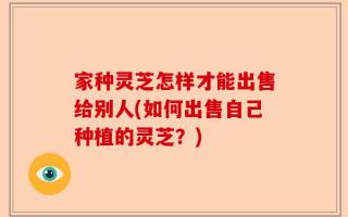 家种灵芝怎样才能出售给别人(如何出售自己种植的灵芝？)