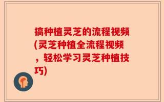 搞种植灵芝的流程视频(灵芝种植全流程视频，轻松学习灵芝种植技巧)