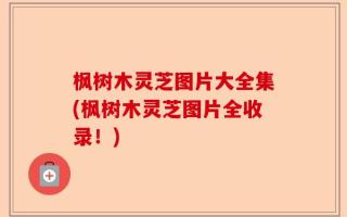枫树木灵芝图片大全集(枫树木灵芝图片全收录！)