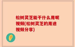 松树灵芝能干什么用呢视频(松树灵芝的用途视频分享)