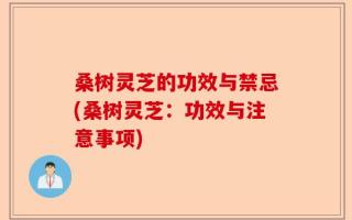 桑树灵芝的功效与禁忌(桑树灵芝：功效与注意事项)