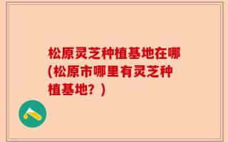 松原灵芝种植基地在哪(松原市哪里有灵芝种植基地？)