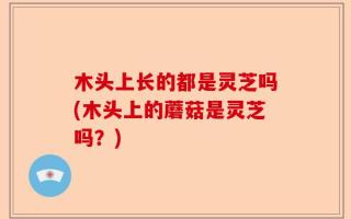 木头上长的都是灵芝吗(木头上的蘑菇是灵芝吗？)