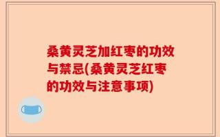 桑黄灵芝加红枣的功效与禁忌(桑黄灵芝红枣的功效与注意事项)