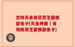 怎样灭杀邪灵灵芝菌根部虫子(灭虫神器｜有效除灵芝菌根部虫子)
