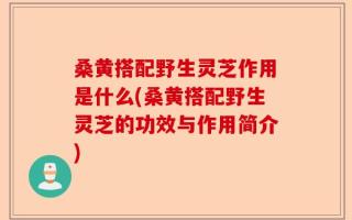 桑黄搭配野生灵芝作用是什么(桑黄搭配野生灵芝的功效与作用简介)
