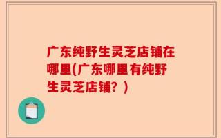 广东纯野生灵芝店铺在哪里(广东哪里有纯野生灵芝店铺？)