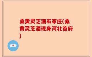 桑黄灵芝酒石家庄(桑黄灵芝酒现身河北首府)