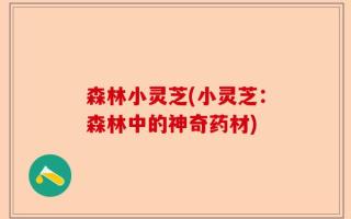 森林小灵芝(小灵芝：森林中的神奇药材)