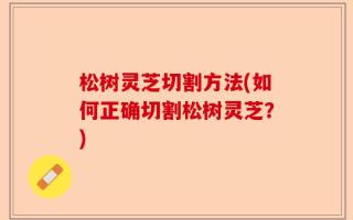 松树灵芝切割方法(如何正确切割松树灵芝？)