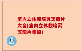 室内立体栽培灵芝图片大全(室内立体栽培灵芝图片集锦)