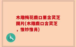 木雕梅花鹿口里含灵芝图片(木雕鹿口含灵芝，惟妙惟肖)