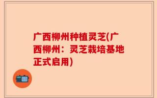 广西柳州种植灵芝(广西柳州：灵芝栽培基地正式启用)
